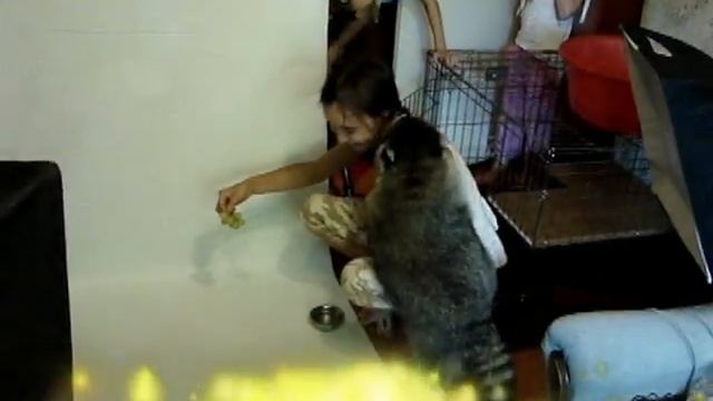 Фотосессия.mp4 смотреть онлайн