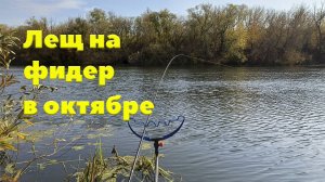 Ловля леща в октябре на реке Дон