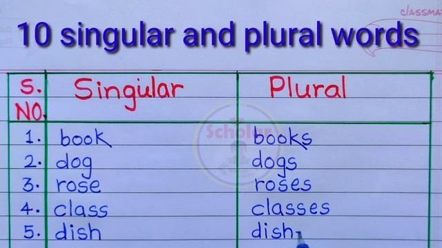 Singular and Plural words |10 singular and plural words in English|singular and plural nouns