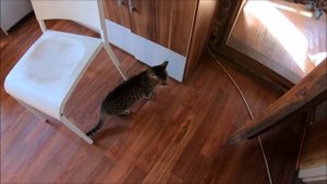 Тепло, хорошо, работаю потихоньку. Жизнь на Лесном Хуторе.