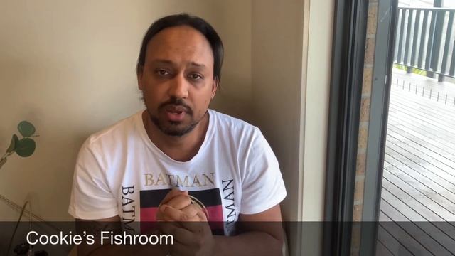 Cookie’s Fishroom Episode 10 Guppy Pregnancy смотреть онлайн