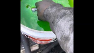 Freightliner columbia DIY air compressor part 2