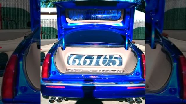 Trunk flex a little bit смотреть онлайн