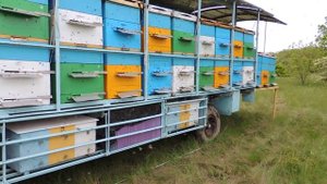 пчеловодный кунг  и пчелоприцеп