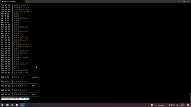 Instalando Flutter da maneira mais fácil no Windows usando fvm смотреть онлайн