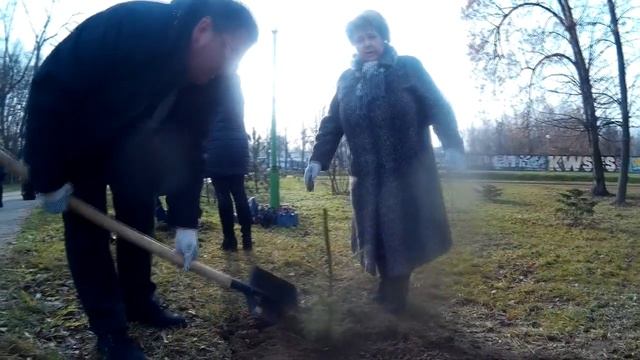 Как посадили Аллею Культуры в Бресте