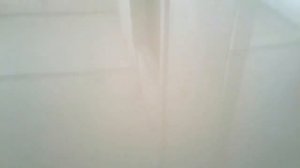 Стервятники на дорогах