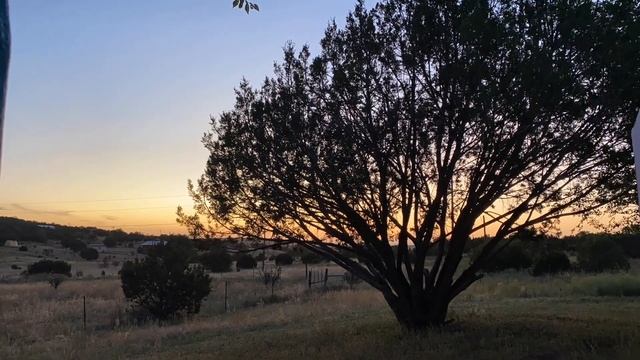 out my window - jeramia real смотреть онлайн