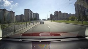 Олень на Волге