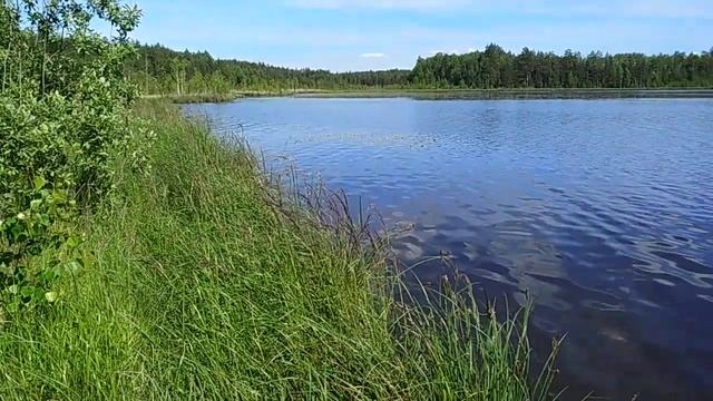 Медитация Как и зачем