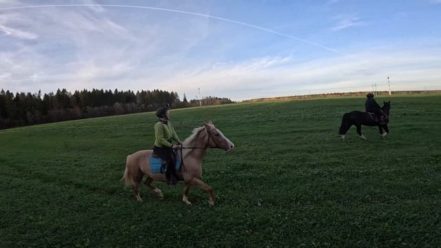 Краски осени.🍂🍁🌤