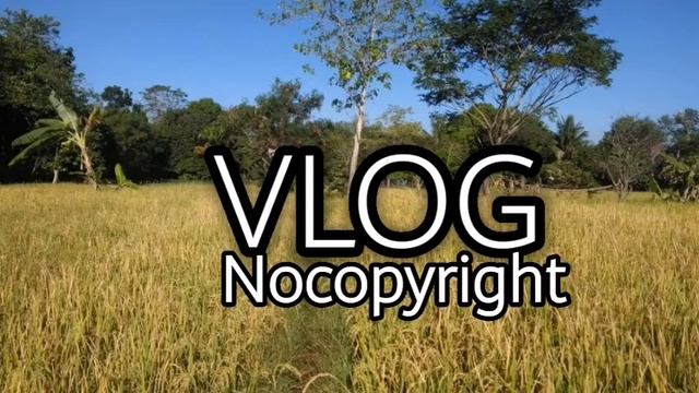 Djansa- The mini Vandals featuring mama смотреть онлайн