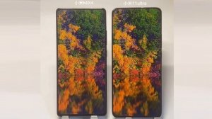Xiaomi Mi Mix 4 vs Xiaomi Mi 11 Ultra Display Test