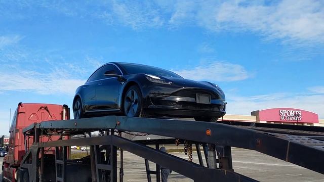 My Tesla Model 3 Dual-Motor Being Loaded on Transport смотреть онлайн