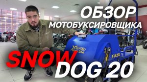 Полный ОБЗОР мотобуксировщика SNOW DOG 20 с эл. запуском (DINKING) от магазина MAXMOTO