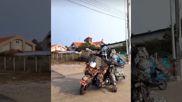 мото хищник