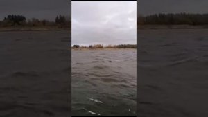 Переход по волнам на лодке Orionboat 46d
