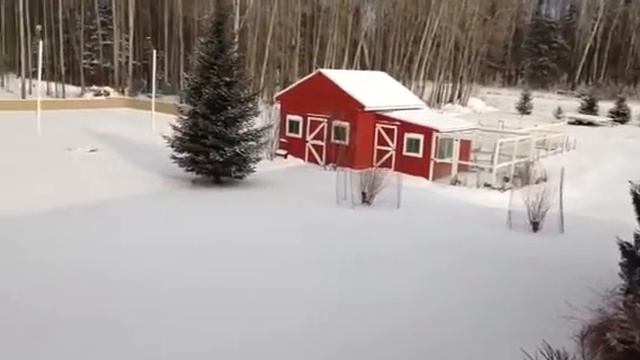 Outside My Window 4.8.16 смотреть онлайн