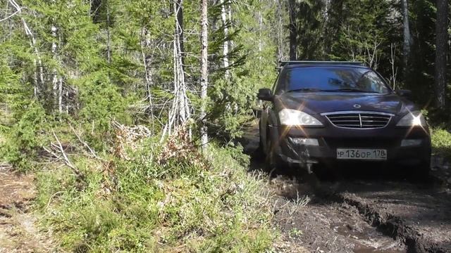SsangYong Kyron на грязевой резине по лесным болотам, на рыбалку. смотреть онлайн