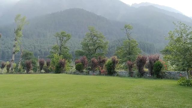 Light in your window 🍁#GeorgeEliot #TheMilloftheFloss смотреть онлайн