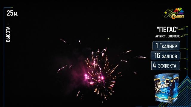 Пегас СП1001605 смотреть онлайн