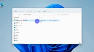 AnyDesk Install on Windows 11