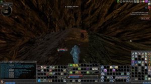 Dungeons & Dragons Online: R1 Solo - Spiders and Flies