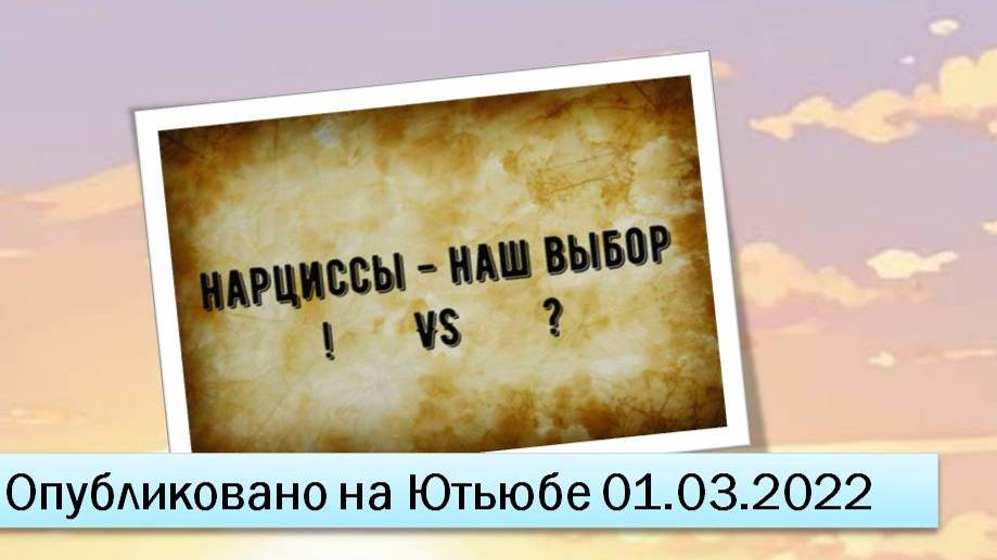 Нарциссы наш выбор (01.03.2022)