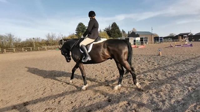 BRC SEIB Insurance Brokers Senior & Junior Intro Virtual Dressage Championships 2020 & 2021 смотреть онлайн