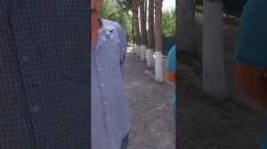 TJ., Душанбе 2023 , Куйбышевский район