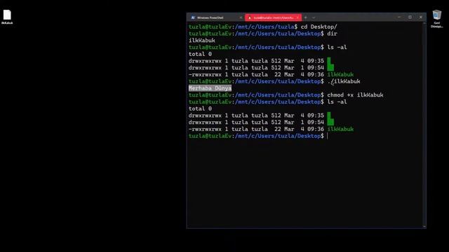 Açık Kaynak İşletim Sistemi 7 - Kabuk Programlama (echo)