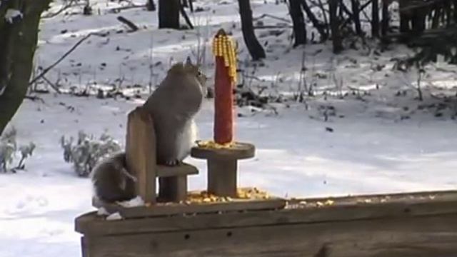 A Clockwork Corn смотреть онлайн