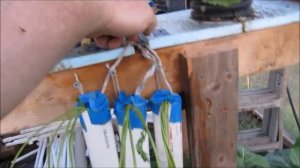 Greenhouse Update - Vertical Planters on Vertical FAWN