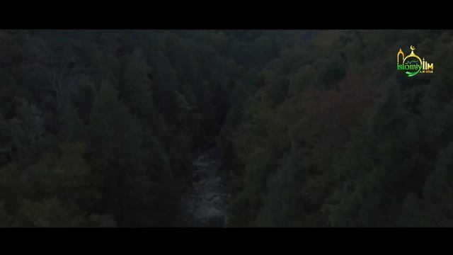 Абдуллоҳ Домла - Қалбимизни Даволаймиз | Abdulloh Domla @IslomiyIlm_Official