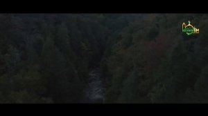 Абдуллоҳ Домла - Қалбимизни Даволаймиз | Abdulloh domla @IslomiyIlm_Official