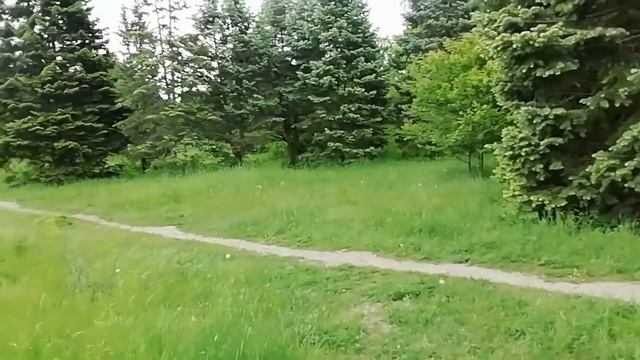 Ботанический сад! На Павловом Поле. ХАРЬКОВ