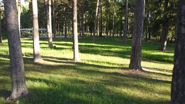 Сарапул, Ленинский парк
