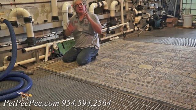 how to get rid of bad smell in house naturally смотреть онлайн