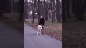 Дыхание жизни ✨