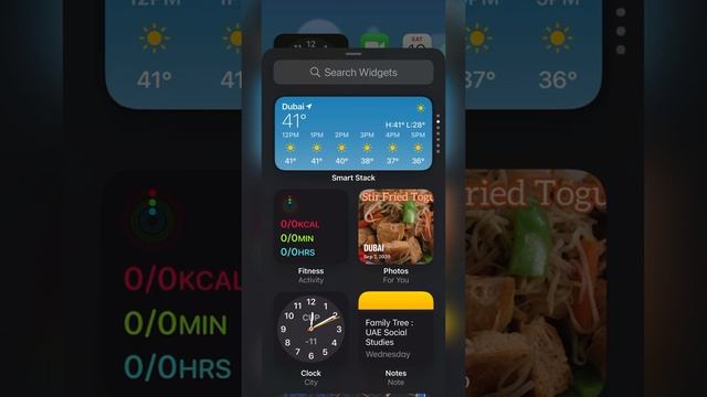 How To Add Widgets On Iphone Home Screen | IOS 14 Software | Iphone XS Max | Ahlyn Biares