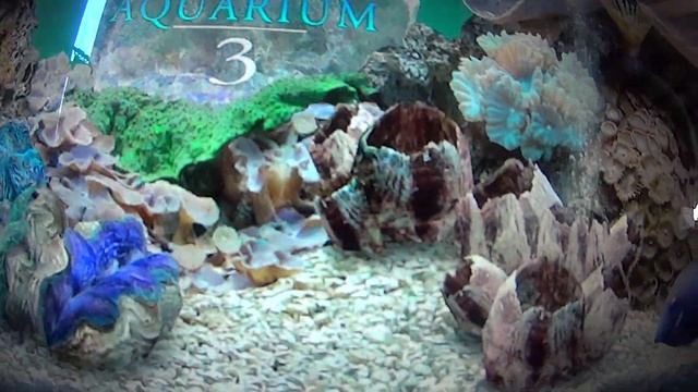 3d theme and screensaver смотреть онлайн