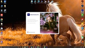 ADOBE MASTER COLLECTION 2024