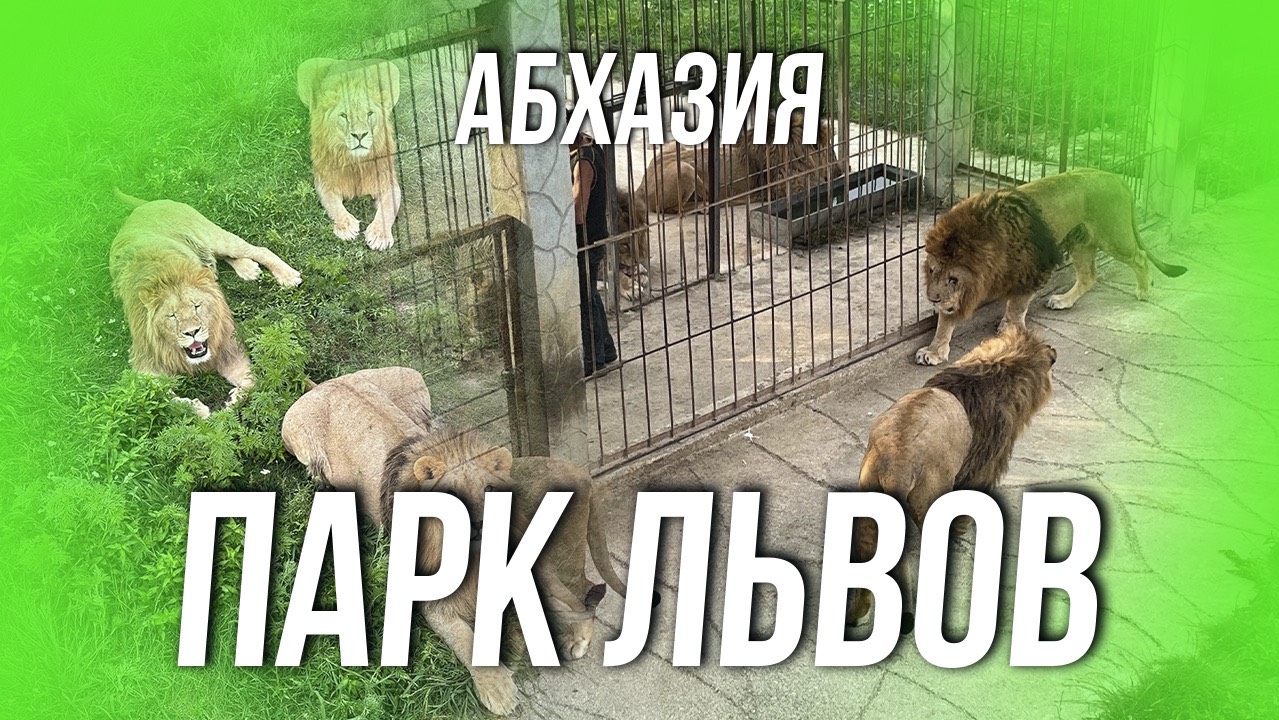 АБХАЗИЯ. ПАРК ЛЬВОВ. ГУДАУТСКИЙ РАЙОН.