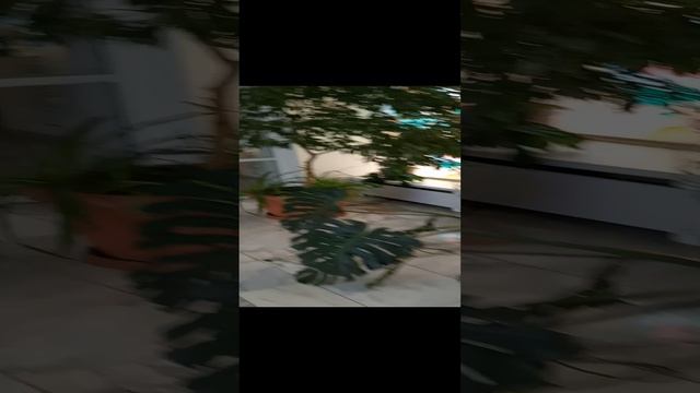 Обзор холла санатория Кругозор в городе Кисловодск.20.10.2024 года.