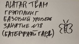 Грэпплинг базовый уровень, занятие  (18 батерфляй гард)