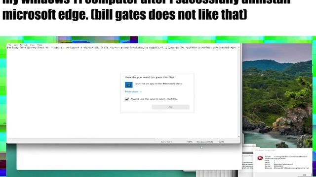 my windows 11 computer after i sucessfully uninstall microsoft edge. (bill gates does not like that смотреть онлайн