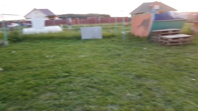 Алабай  любимцы семьи