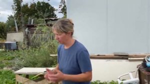 Русская ива. Первая неделя после пожара