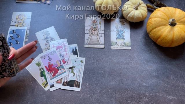#4королевы на чем сфокусироваться сейчас?   #таро