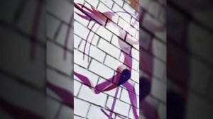 Pole Dance Studio Стрекоза Иркутск